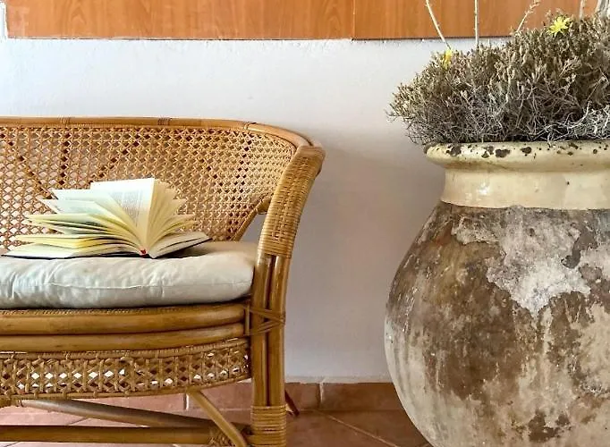 Nyaraló Kokos Dilináta