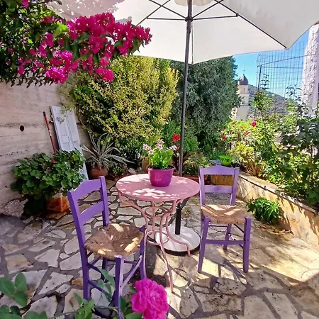 Kokos Holiday home Dilinata